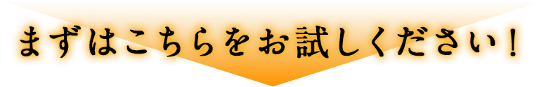 まずはこちらをお試しください!
