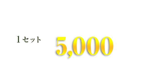 2袋で5,000円(税抜き)