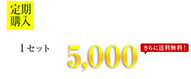 定期 4袋で5,000円(税抜き)