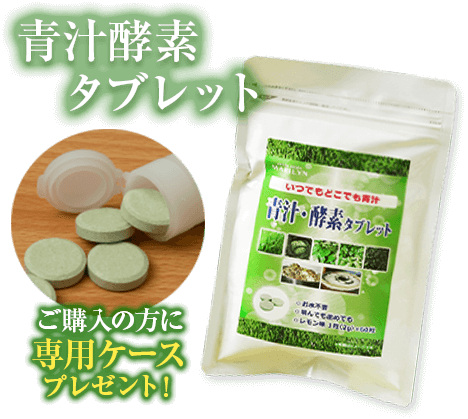 ご購入の方に専用ケースプレゼント!