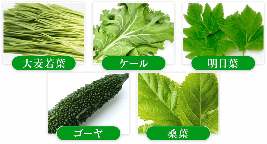 大麦若葉、ケール、明日葉、ゴーヤ、桑葉