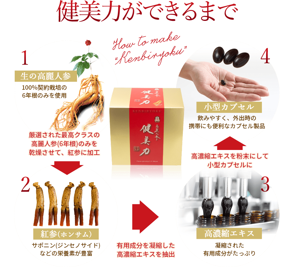 健美力ができるまで 生の高麗人参 紅参(ホンサム) 高濃縮エキス 小型カプセル