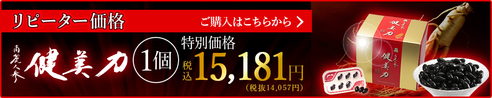 健美力 通常価格