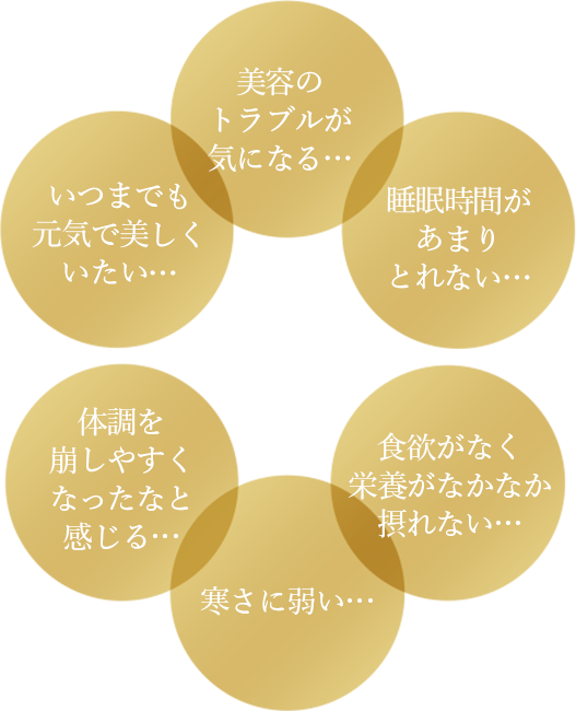 美容のトラブルが気になる… いつまでも元気で美しくいたい… 睡眠時間があまりとれない… 体調を崩しやすくなったなと感じる… 寒さに弱い… 食欲がなく栄養がなかなか摂れない…