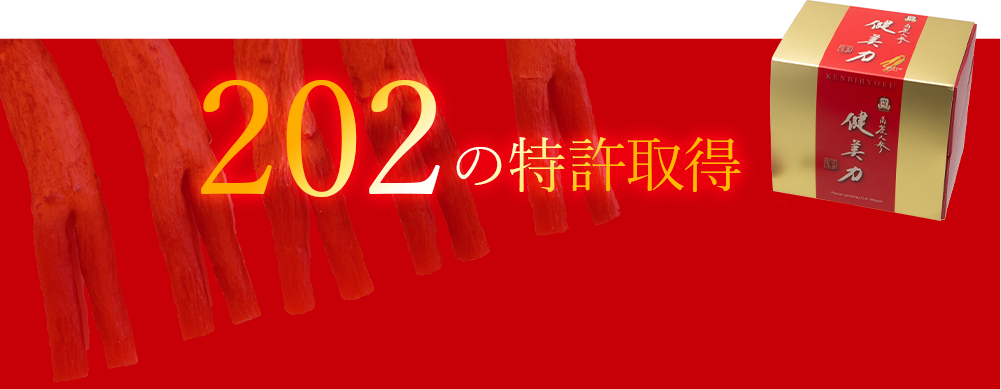 202の特許取得