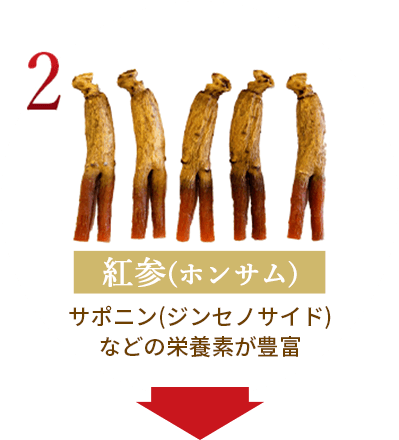 紅参(ホンサム) サポニン(ジンセノサイド)などの栄養素が豊富