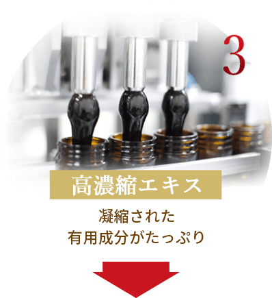 高濃縮エキス 凝縮された有用成分がたっぷり