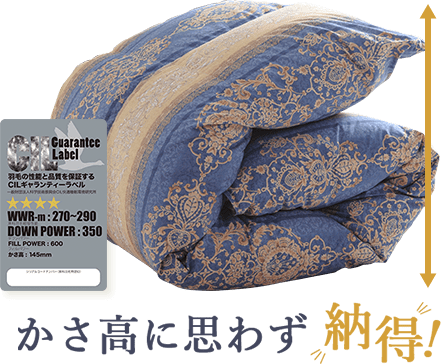 かさ高に思わず納得!