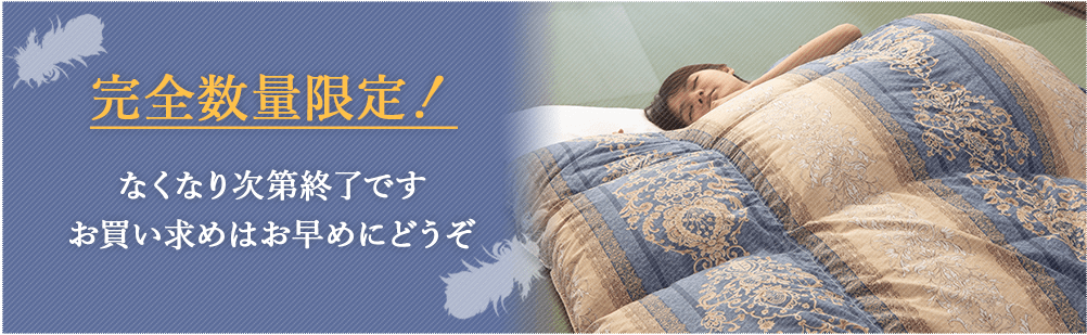 完全数量限定!なくなり次第終了です。お買い求めはお早めにどうぞ。