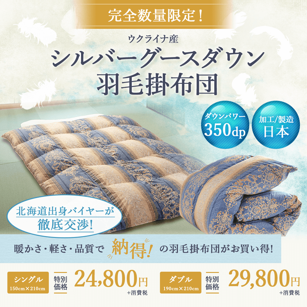 完全数量限定!ウクライナ産シルバーグースダウン羽毛掛布団