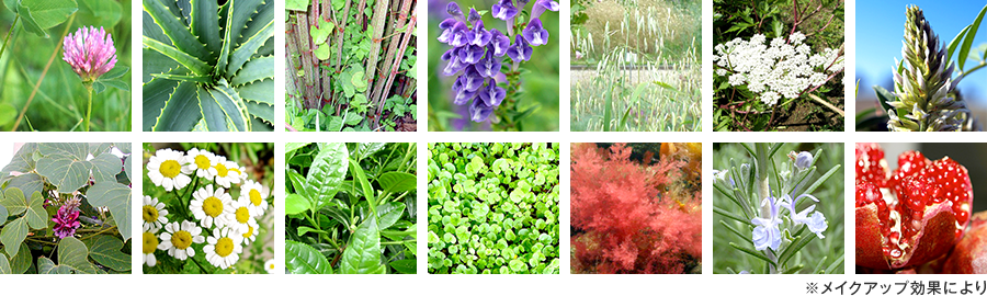 プラワンシー ストレッチザプレス シワ消し下地クリーム