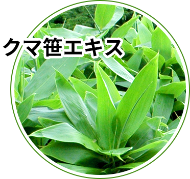 新発売記念特価 北海道まるごと 汁酵素タブレット 3袋 30粒入り 3袋