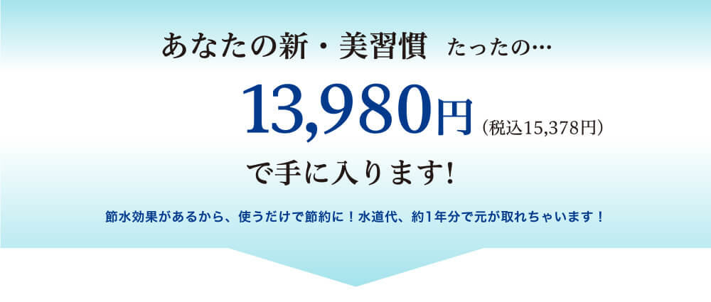あなたの新・美習慣 たったの・・・13.980円(税込15,378円)で手に入ります!
