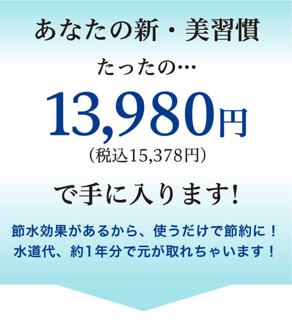 あなたの新・美習慣 たったの・・・13.980円(税込15,378円)で手に入ります!