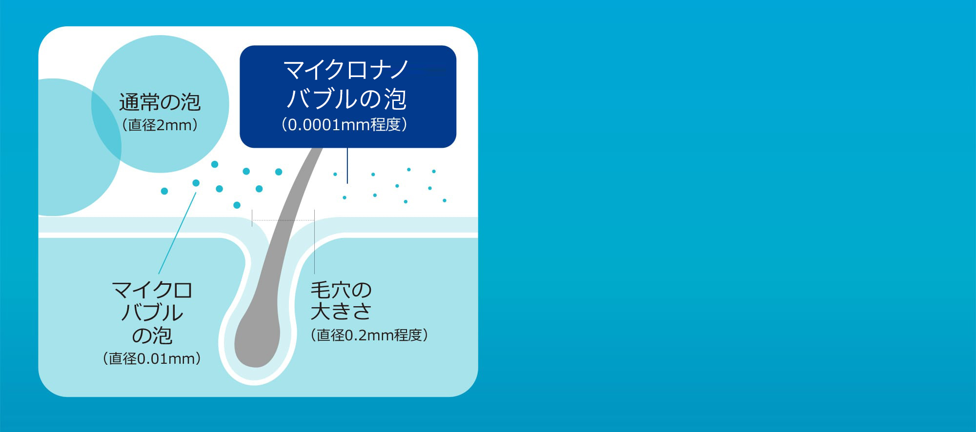 泡の数にもこだわり!小さなサイコロ1つの中に約1.5億個
