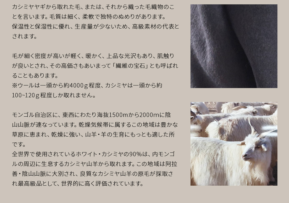 松屋銀座外商部特選 カシミヤ100%コート