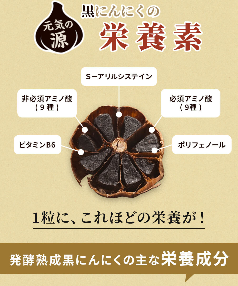 醗酵熟成黒にんにく(4袋)