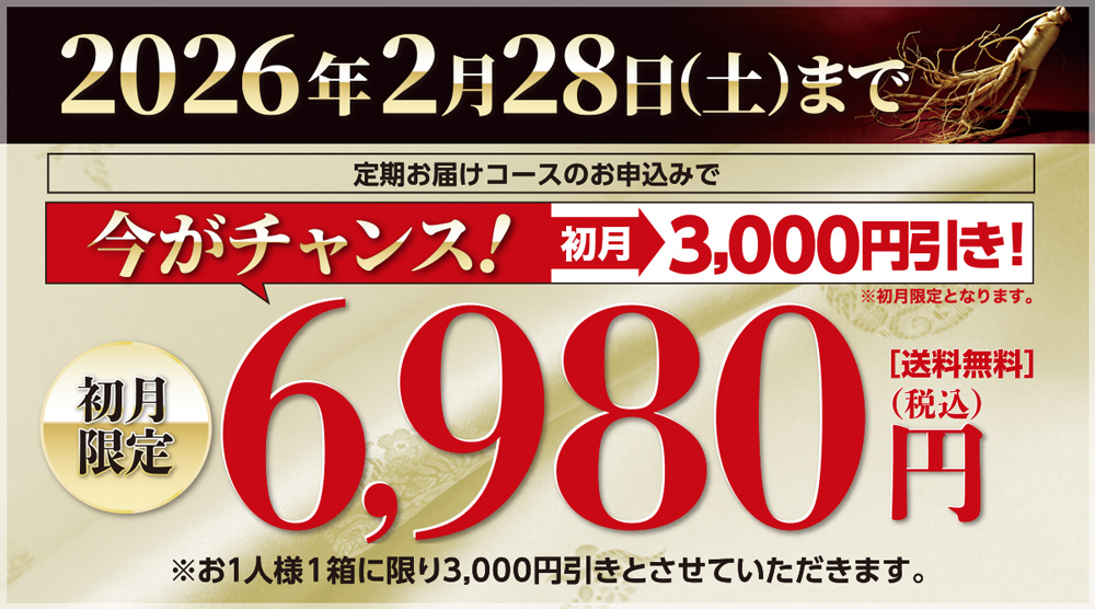 高濃度紅参サプリメント 正官庄 高麗人参 健美力【定期購入 高濃度紅参サプリメント 正官庄 高麗人参 健美力【定期購入