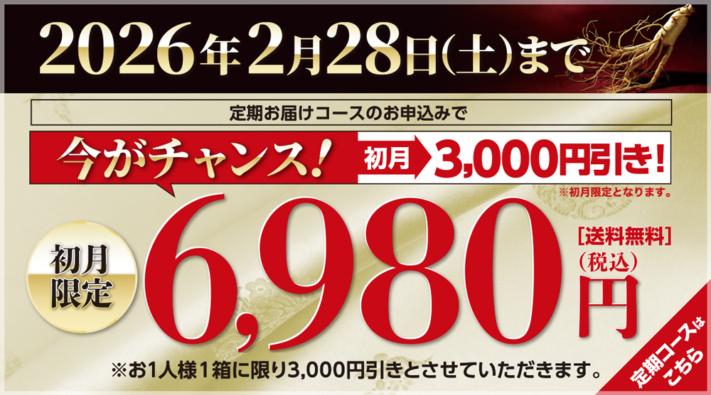 高濃度紅参サプリメント 正官庄 高麗人参 健美力【初回限定】｜JCC
