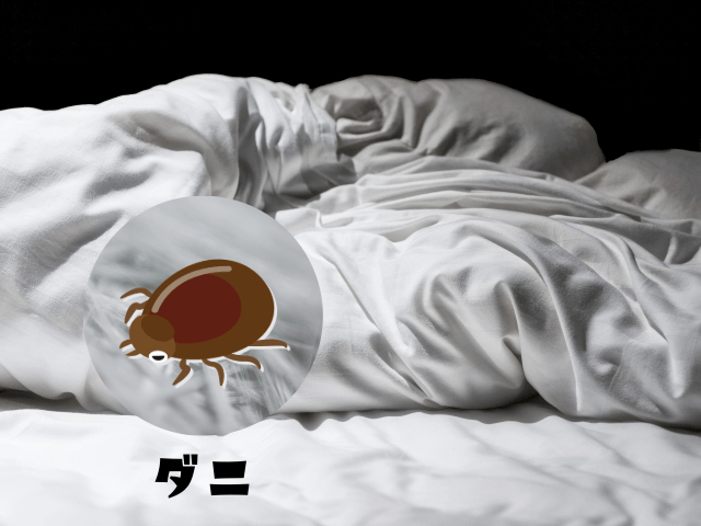 布団の中のダニ