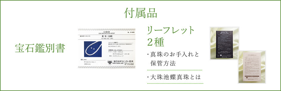 付属品 宝石鑑別書 リーフレット２種