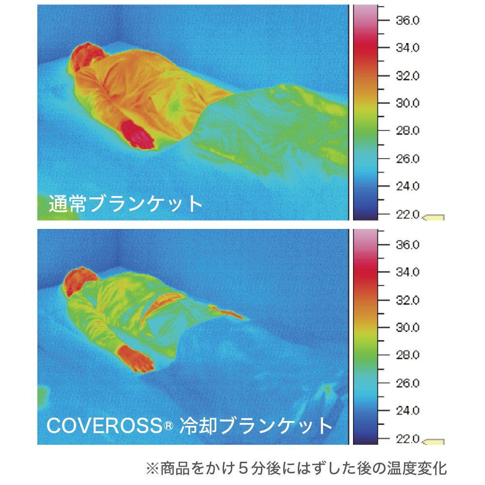 エイミー×COVEROSS 超冷却ブランケット ｜JCCショップ本店