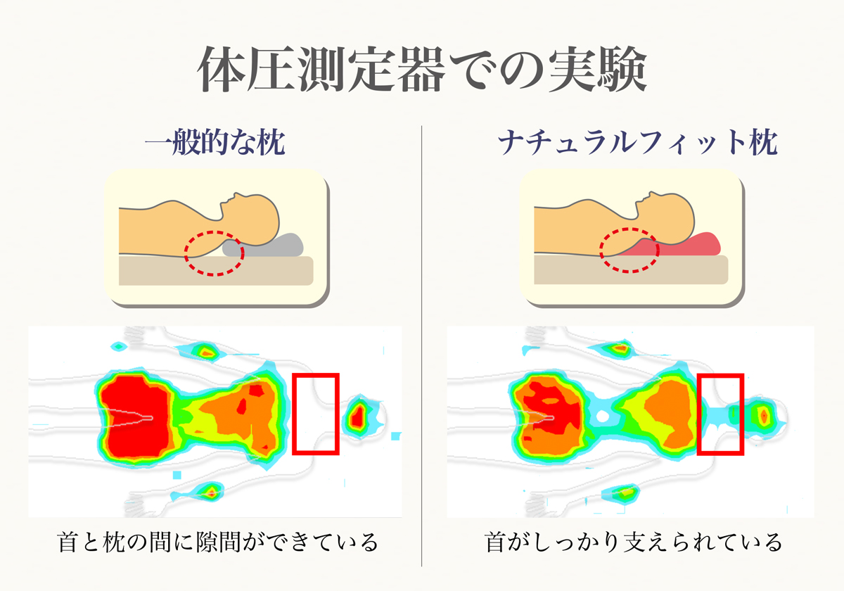“首までしっかり休ませる、“首想い”の設計
