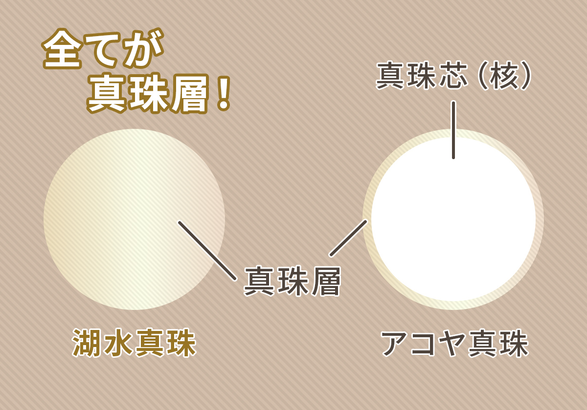 すべてが真珠層の、深い輝き