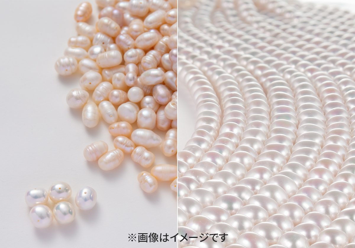 5〜7年の歳月をかけて成長した真珠