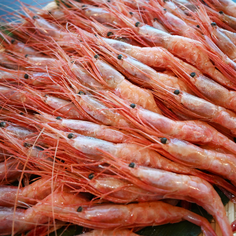 北海道増毛産 甘エビ1kg｜JCCショップ本店