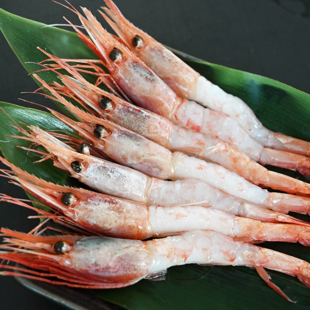 エビ  北海道増毛産 甘エビ1kg｜JCCショップ本店