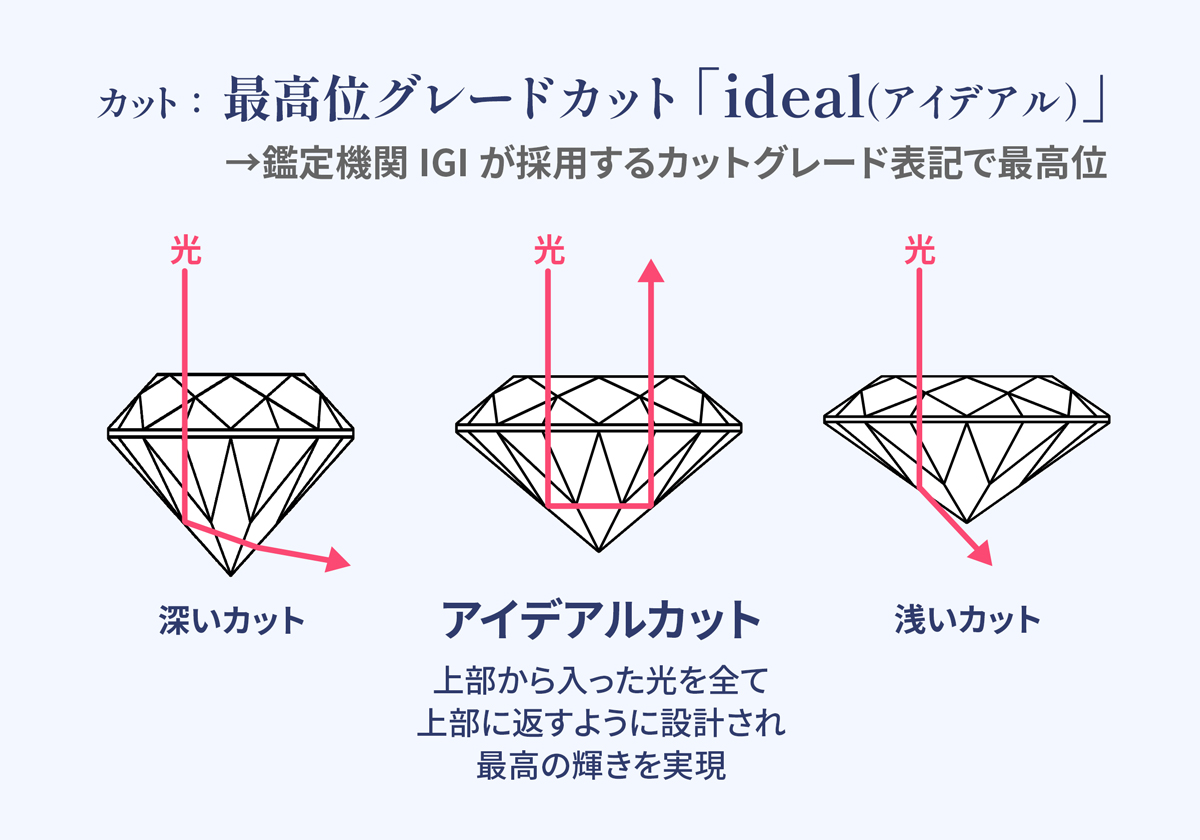 最高位グレードカット「Ideal（アイデアル）」