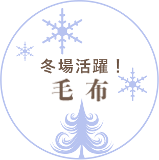 冬場活躍!毛布