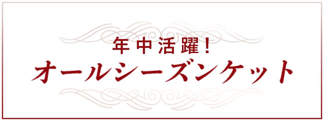 年中活躍!オールシーズンケット