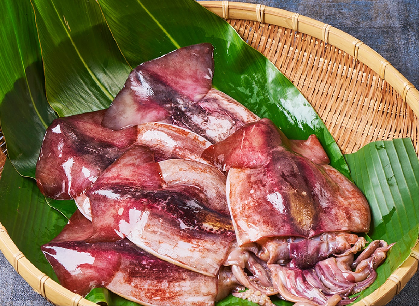 国産いかの開き干し【JCCショップ】