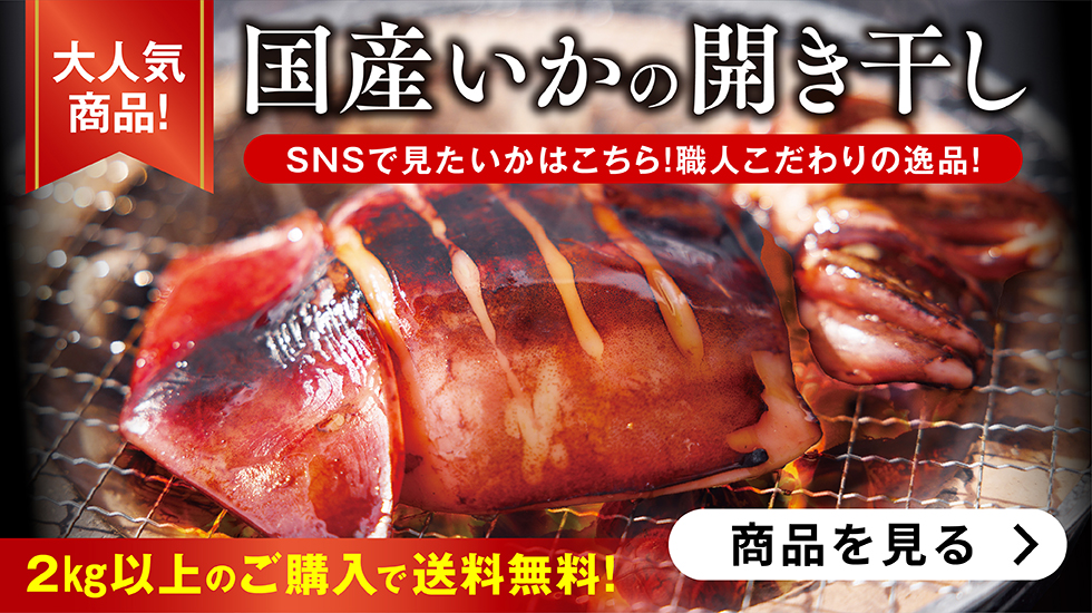 国産いかの開き干し
